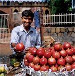 http://forummamici.ro/comunitate/uploads/thumbs/11176_fruit_seller.jpg