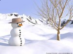 http://forummamici.ro/comunitate/uploads/thumbs/11176_snowman.jpg