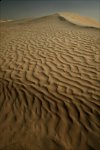 http://forummamici.ro/comunitate/uploads/thumbs/11455_sahara-desert-sand-dune.jpg