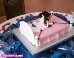 http://forummamici.ro/comunitate/uploads/thumbs/1476_funny-and-sexy-cakes-05.jpg