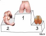 http://forummamici.ro/comunitate/uploads/thumbs/15414_anatomia-umana-in-clasamentul-oficial.jpg