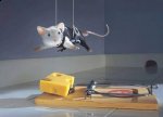 http://forummamici.ro/comunitate/uploads/thumbs/17381_mouse-mission-impossible1.jpg