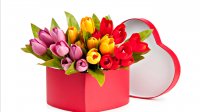 http://forummamici.ro/comunitate/uploads/thumbs/18627_991658-1360x768-bouquet.jpg