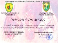 http://forummamici.ro/comunitate/uploads/thumbs/30397_diploma_merit.jpg