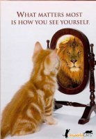 http://forummamici.ro/comunitate/uploads/thumbs/33245_funny-cat-picture-cute-kitty-pic-kitten-looking-in-mirror-seeing-a-lion.jpg