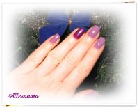 http://forummamici.ro/comunitate/uploads/thumbs/35315_lavander1.jpg