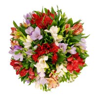 http://forummamici.ro/comunitate/uploads/thumbs/40993_aranjamente-florale-frezii-6.jpg
