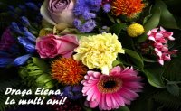 http://forummamici.ro/comunitate/uploads/thumbs/62832_lma_elena.jpg